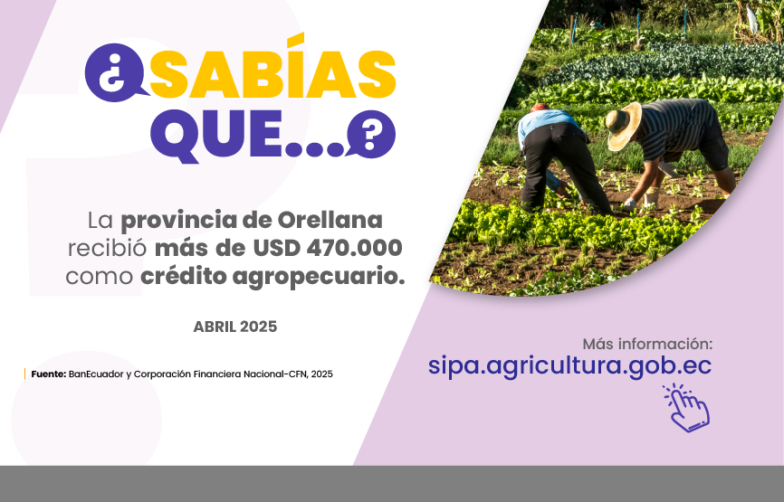 Sabías que