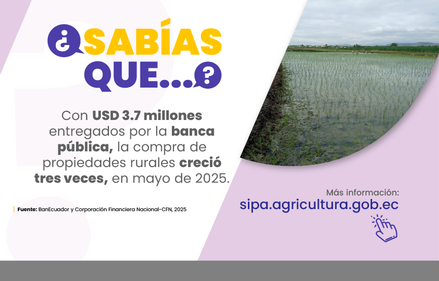 Sabías que