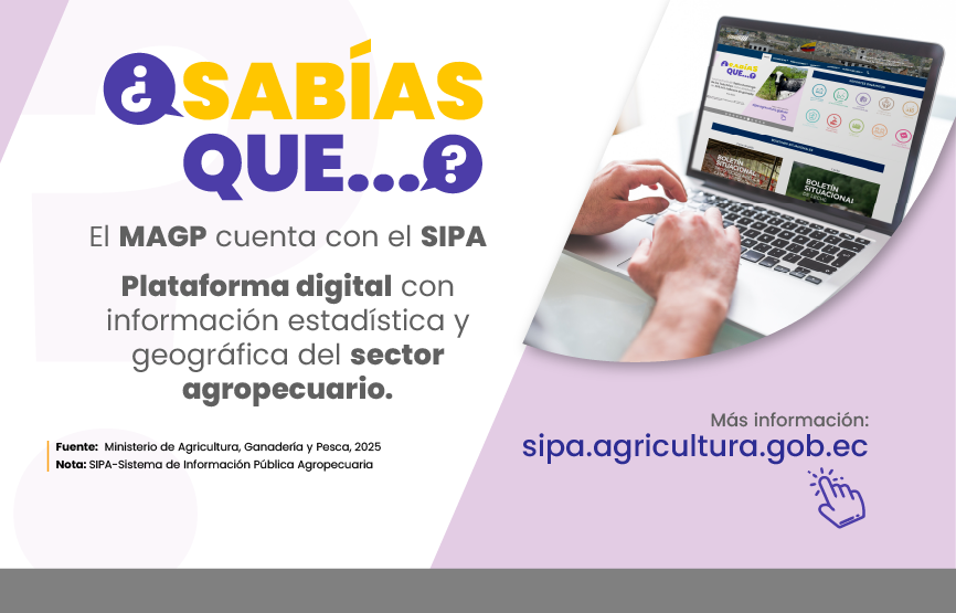 Sabías que
