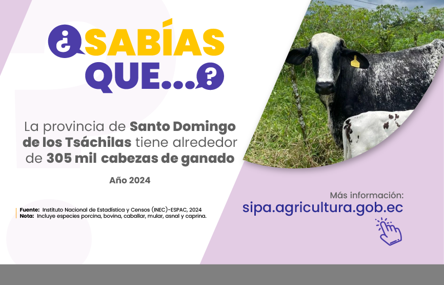 Sabías que