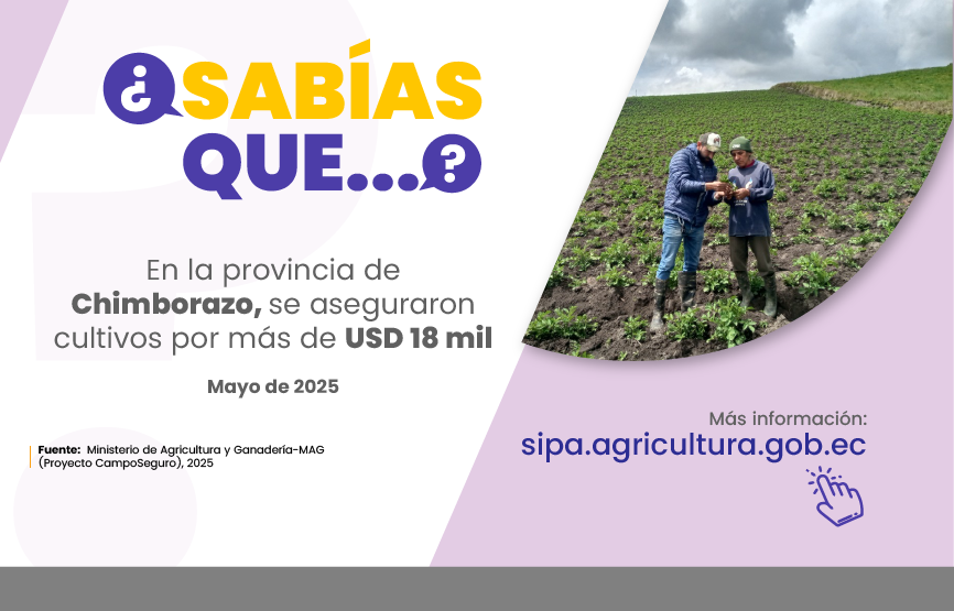 Sabías que