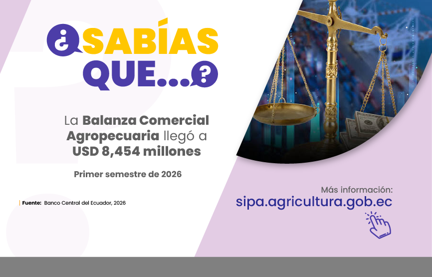 Sabías que