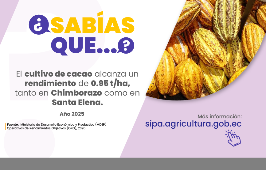Sabías que