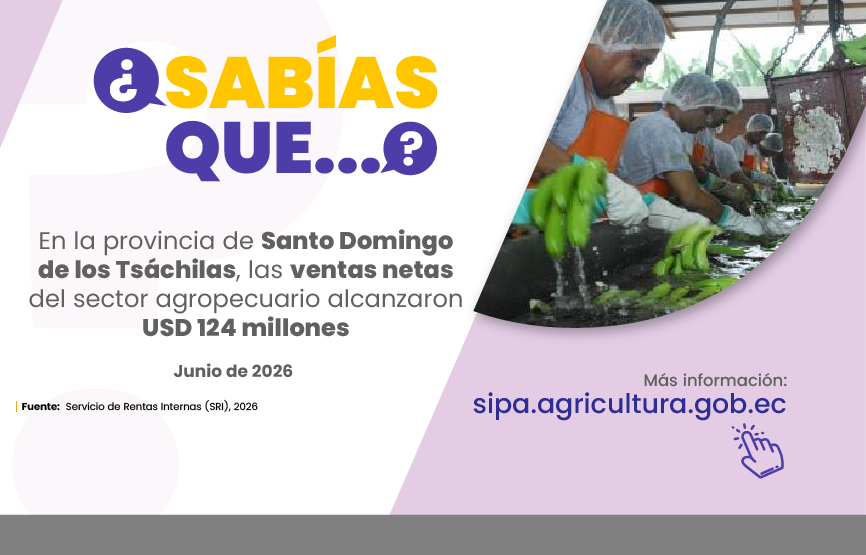Sabías que