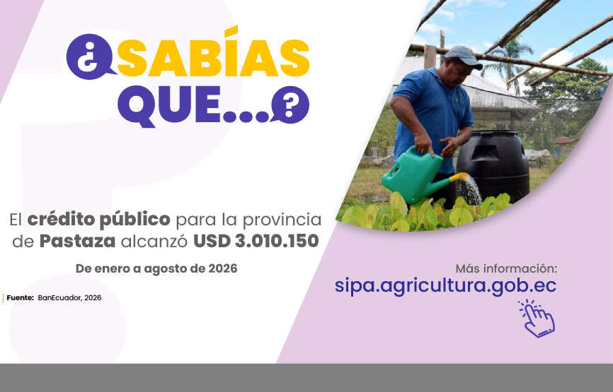 Sabías que