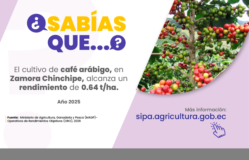 Sabías que