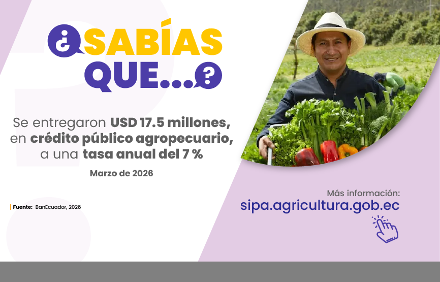 Sabías que