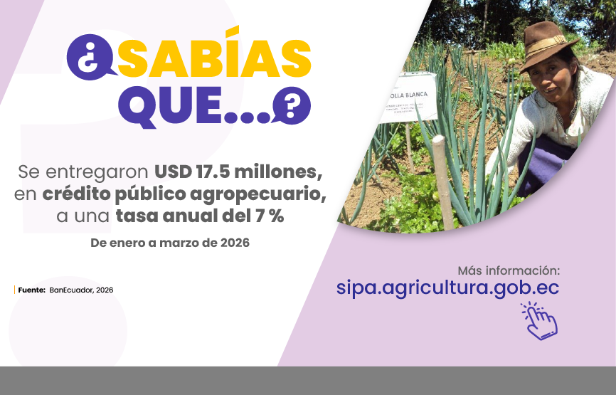 Sabías que