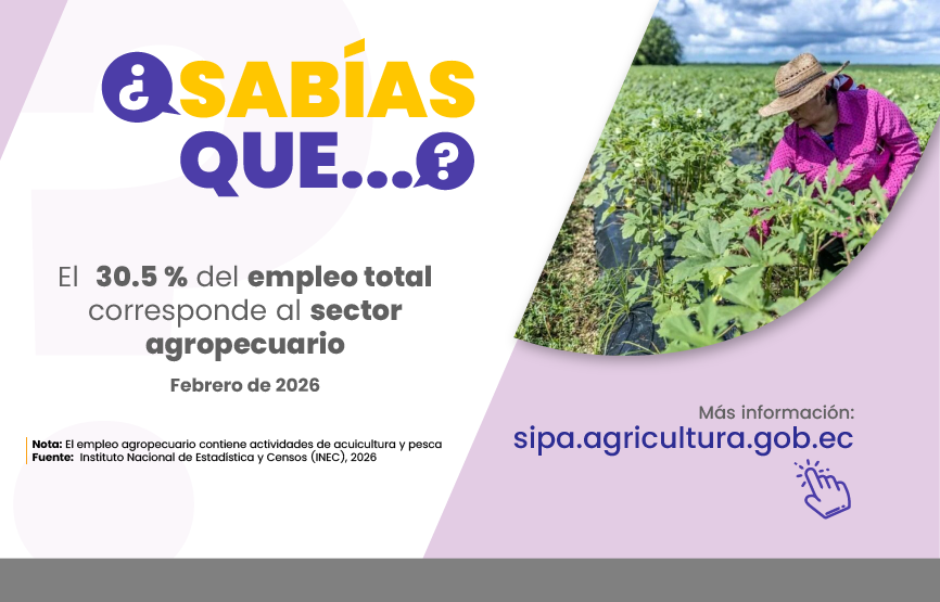 Sabías que