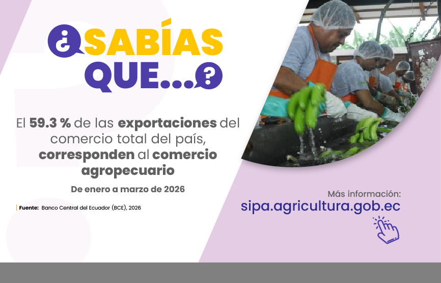 Sabías que